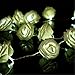 KINGSO 20 LED Battery Operated Rose Flower String Lights Wedding Garden Christmas Decor (White)