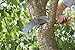 Gardena 300PP Mechanical Curved Garden Saw, 12.4