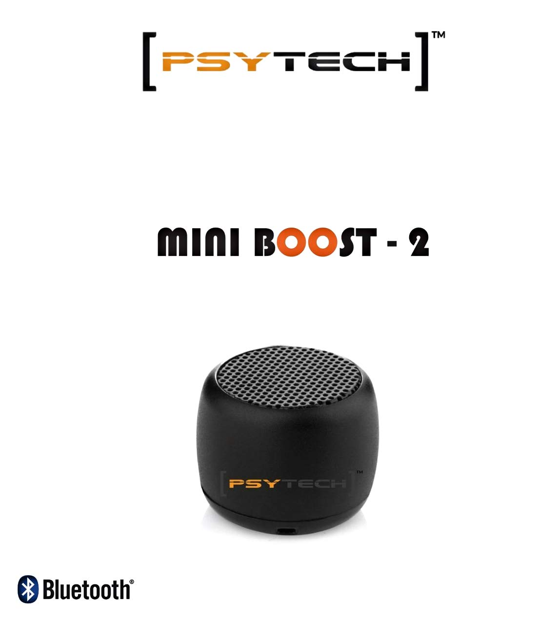 psytech mini boost speaker
