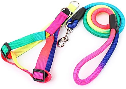 rainbow dog lead