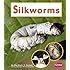 Silkworms (Watch It Grow)