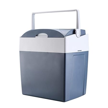 Nevera Portatil La Caja De Refrigeración Eléctrica, El Congelador ...