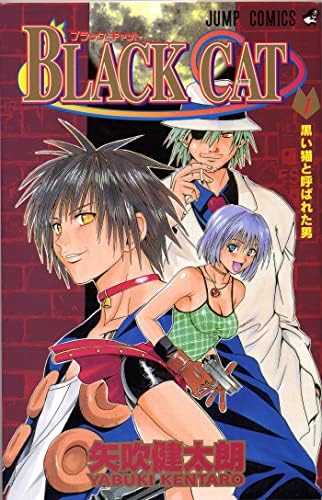 Amazon.com: Black Cat, Vol. 1: 9781421506050: Yabuki, Kentaro: Books