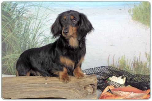 Dachshund Cutting Board - Small