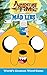 Adventure Time Mad Libs (Adventure Time W/Finn and Jake)