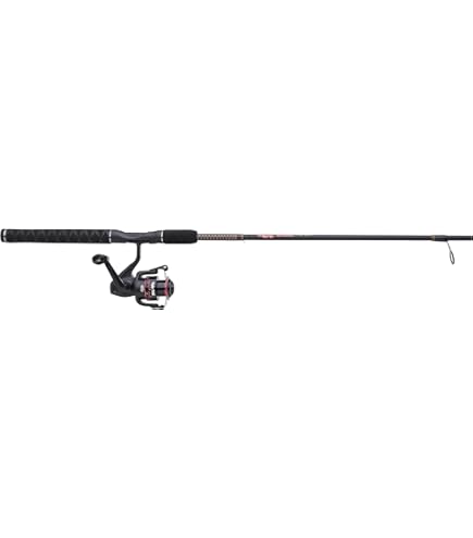 Daiwa DSK20-B/F602ML D-Shock Reel & Rod Combo 6' Medium/Light Action,  Black/Gold, Rod & Reel Combos - Amazon Canada