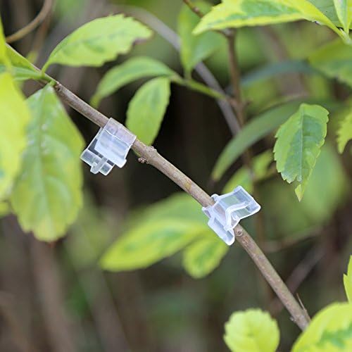 Fdit 100 pinzas para manualidades con clip para plantas, diseño de ...