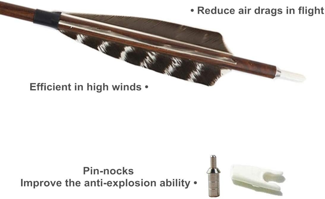 Letszhu Archery Carbon Arrows Wooden Grain Shaft 500 Spine with Feather Fletching for Hunting Target Shooting : Sports & Outdoors