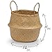 Seagrass Planter Basket | Decorative Woven Belly Basket | Picnic Basket or Indoor Storage for Blankets, Toys or Laundry, by Toma Design (Natural, Large)