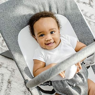 baby delight alpine bouncer