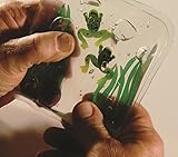 Skishie Aquarium Square, Sensory Fidget Stress Away Pac By Attainment