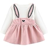 XFGLCK Toddler Kids Baby Girl Easter Outfit Long Sleeve Rabbit Style Dress Summer Clothes