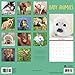 Avalon 2018 Baby Animals Wall Calendar, 16 Month Calendar, 12 x 12 inches (83038)