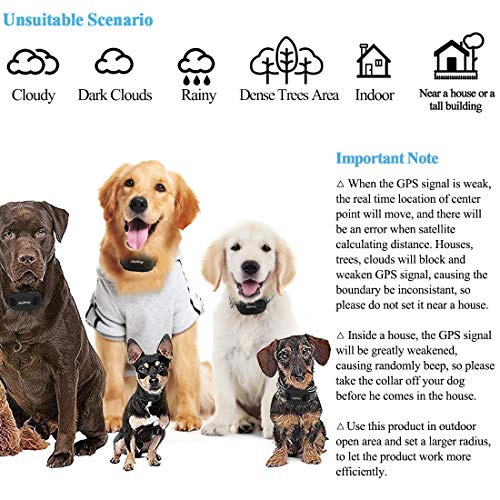 angelakerry dog fence