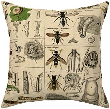 Amazon Com Roostery Throw Pillow Entomology Bugs Insects