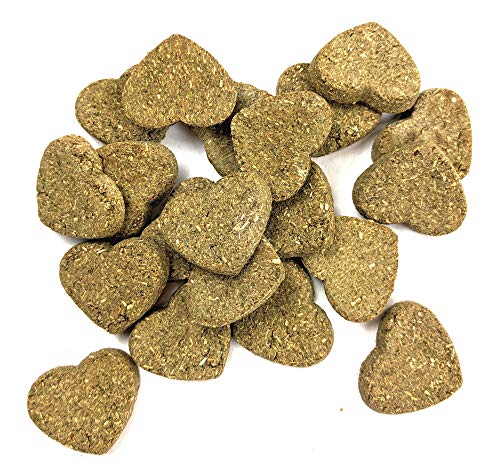 Oxbow Simple Rewards Carrot & Dill Treats - Image 3