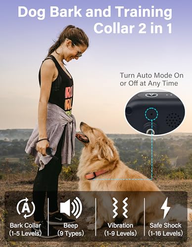 PaiPaitek 2-in-1 Dog Bark Collar & Shock Collar with Remote 3300ft, 4 Modes(Vibration/Beep/Shock/Anti-Bark), IPX7 Waterproof Training Collar for Medium Large Dogs (40-150 lbs) for Indoor & Outdoor Use