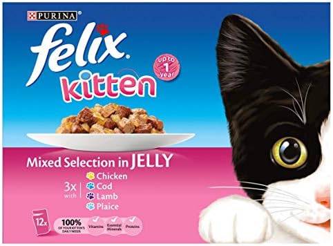felix dry kitten food