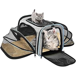 OMORC Transportin Gato Perro, Bolsa de Transporte Transpirable para Mascotas, Estructura Sólida Fácil de Almacenamiento y Espaciosa, 76*46*25CM, Cómodo Bolso para Transporte en Tren, Coche, Avión