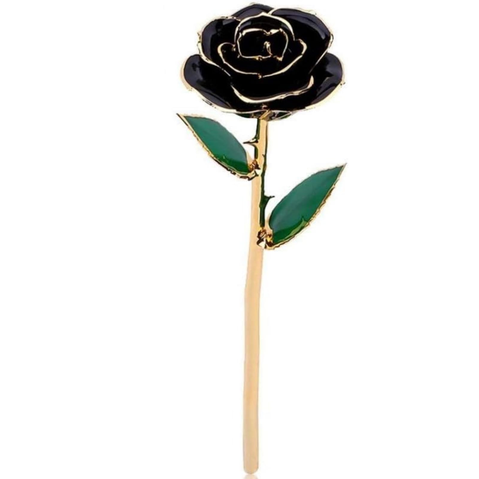 FILFEEL 24K Gold Rose, Dipped Flower Gift for Her Made of Fresh Rose, Last Forever Mother's/Thanksgiving/Christmas/Valentine's/Birthdays Party/Graduations/Weddings (Black#2) — image 1