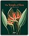 Robert John Thornton: The Temple of Flora by Werner Dressendorfer, Petra Lamers-Schuetze