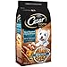 CESAR HOME DELIGHTS Dry Dog Food Slow Roasted Chicken Flavor with Garden Vegetables Small Breed Dog Kibble, 3.75 lb. Bag