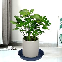Bleuhome 2 Pack of 16 17 inch Plant Saucer