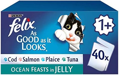 stop woofer bark collar