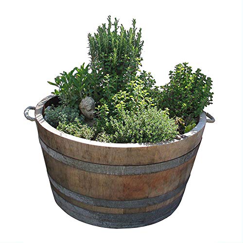 Temesso Holzfass, Kräuterbeet, Pflanzkübel Weinfass Fass halbiert mit Trageschlaufen (echtes Weinfass D70cm H40cm) Original – Bild 6