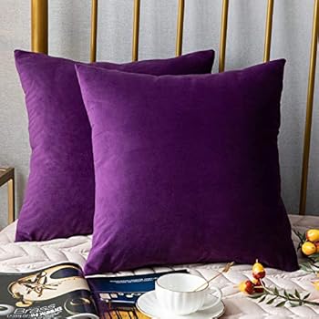DEZENE Throw Pillow Covers, 2 Pack Super Soft Velvet Decorative Pillow Cases, Luxury Accent Rectangular Pillowcases, Square Cushion Covers for Farmhouse,Couch,Sofa, 18 x 18 Inch, Purple