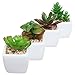 Set of 4 Small Green Plastic Artificial Succulent Plants in Mini Modern White Ceramic Planter Pots