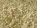 Bean Products Organic Latex Foam Rubber Shredded 5 lbs