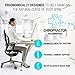 Lumbar Support Pillow for Office Chair and Car Back Support - Double Adjustable Straps and Breathable Mesh for All-Day Comfort, Lower Back and Sciatica Pain Relief