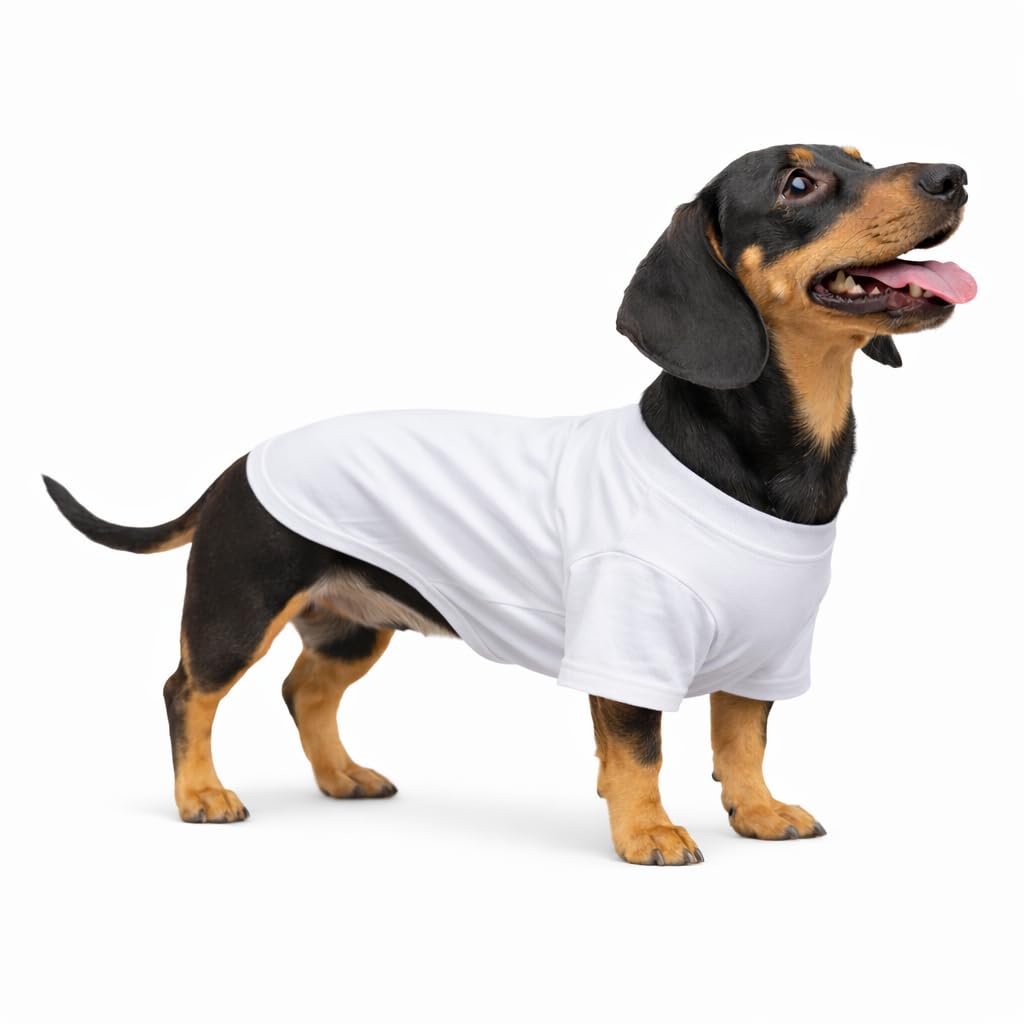 Lovelonglong Pet Clothing Dog Costumes Dachshund Clothes Blank T-Shirt Tee Shirts for Dachshund Dogs,Corgi 100% Cotton White D-L