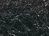 1/2 LB Crinkle Cut Paper Shred - Black