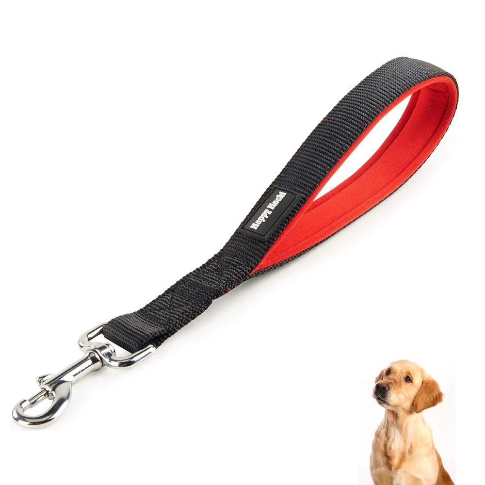 soft dog training leads