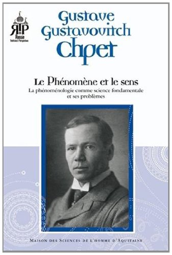 Le  phénomène et le sens