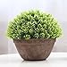 Supla Big 8.5 x 11 inch Artificial Topiary Plant Top Plant in Planter Plastic Potted Plant with Pot Plants in Weathered Pot Artificial Topiary Tree Ball Plants