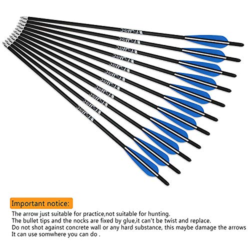 WDLHQC Arrows Archery Practice Hunting Arrows with Removable Tips(12Pcs/Pack) (Blue, 21)