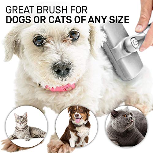 CleanHouse Pets Cat and Dog Brush Easy Self Cleaning Button! Pro