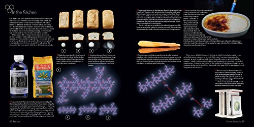 Reactions: An Illustrated Exploration of Elements, Molecules, and Change in the Universe, Book 3 of 3