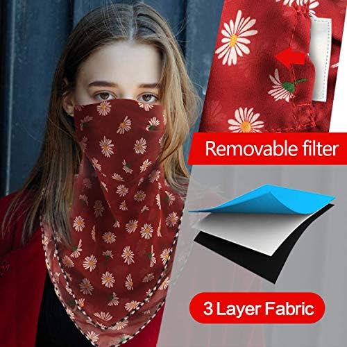 Reusable face mask with ear loops and filter pocket, priced at $12.99.