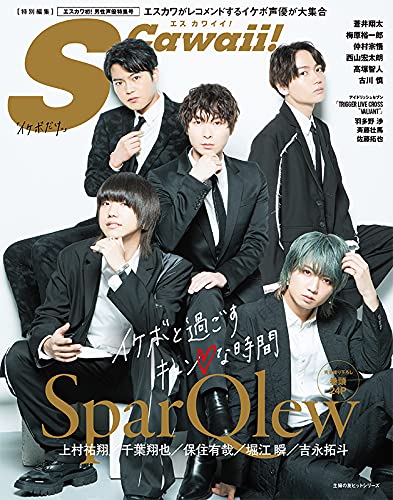 S Cawaii 特別編集 エスカワイイ 雑誌 ファッション雑誌ガイド