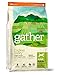 gather ENDLESS VALLEY Vegan Recipe Dry Dog Food - 6 LB. BAG