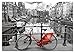 Educa - 1000 Piece Puzzle for Adults | Amsterdam. 14 Years Old (14846)