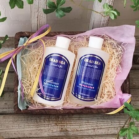 Amazon プレゼント お祝い 限定コスメ ラッピング付き エッセンシャル ツヤ髪 ギフト２点セット デッドシー グランスパ シャンプー0ｍｌ デッドシー グランスパコンディショナー0ml Aphro Dressas アプロドレッサス ギフトセット 通販