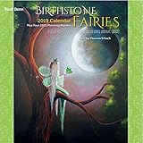 Birthstone Fairies 2019 Calendar by