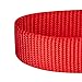 Blueberry Pet Essentials Martingale Safety Training Dog Collar, Rouge Red, Large, Heavy Duty Nylon Adjustable Collars for Dogs