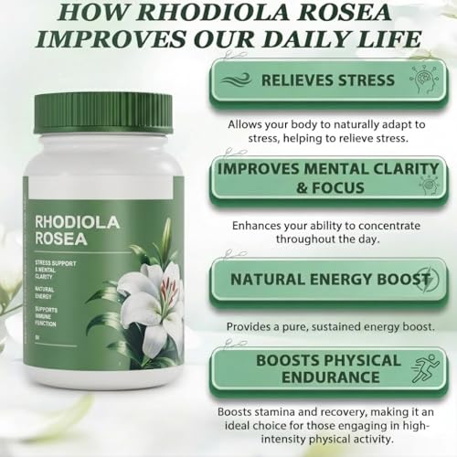 Rhodiola Rosea, 2026 Rhodiola Rosea Extract, 60 PCS Rhodiola Rosea Organic, Support for Reducing Stress, Promote Body Balance (1 Bottle)