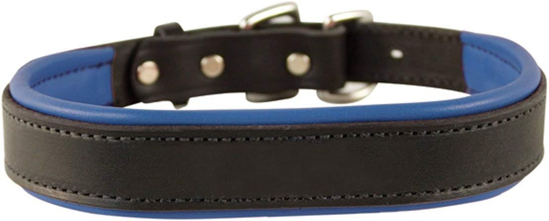 Perri's Padded Leather Dog Collars in Metallic and Bold Non-Metallic Colors